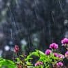 Wetter: Wolkig mit Aussicht auf Besserung