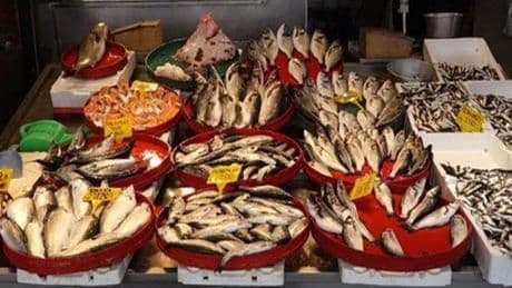 Av yasağına sayılı günler kala tezgahlarda balık bolluğu!