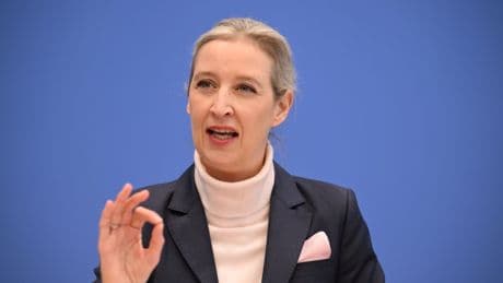 Verschlusssache AfD