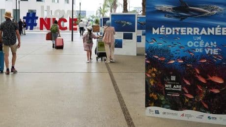 « Les actions pour l’océan doivent être ancrées dans les droits humains »