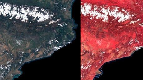 Catalunya vuelve a tenirse de verde en primavera gracias al fin de la sequía