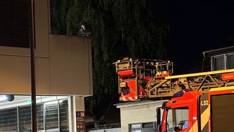 Polizeieinsatz in Berlin - Ladendieb flüchtet auf Dach von Supermarkt