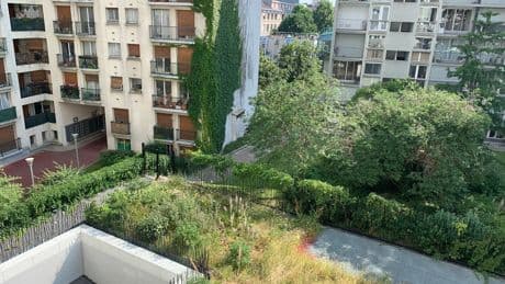 Canicule : face aux îlots de chaleur, comment rafraîchir les villes ?