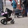 Weniger Geburten, wenig Zuzug: Potsdam wächst nicht mehr