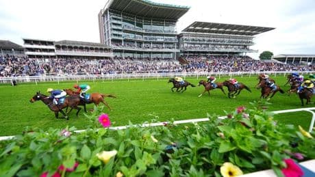 Newsboy's horse racing tips for Wednesday's five meetings including York NAP