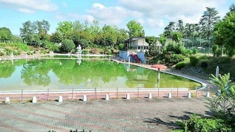 Acqui, raccolta firme contro il degrado della maxi piscina: “Pare un acquitrino”