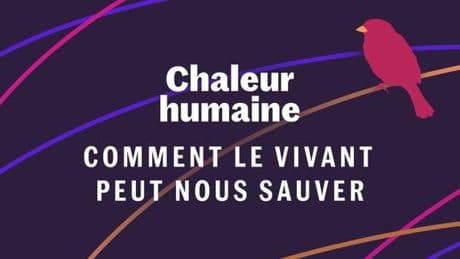 Le moineau – comment le vivant peut nous sauver (5/6)