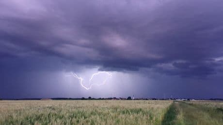 Erst Dürre, dann Dauer-Niederschlag - Flüsse, Böden, Wälder: Hat der Regen was gebracht?