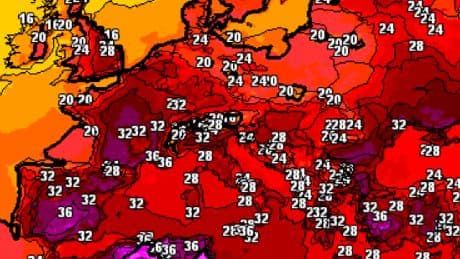 Wetter: Bleibt die Hitzewelle aus? Prognosen zeigen klaren Trend
