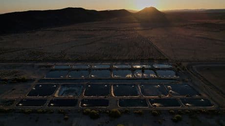 In the Arizona desert, a farm raising fish raises questions about water use