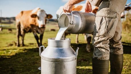 E. coli outbreak in Florida linked to raw milk