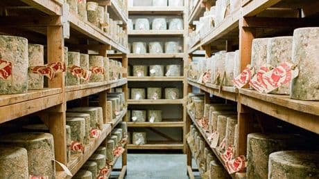 Police make further arrests in Neal’s Yard Dairy cheese robbery