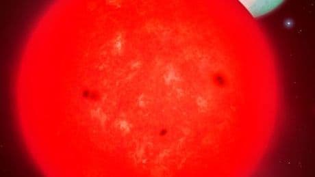 Exoplanet: Rätselhafter Gasriese umkreist winzigen Stern
