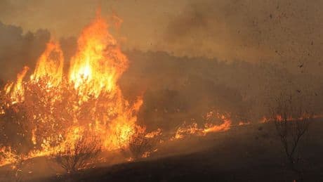 Neutralize Wildfire Threats - Before They Become Wild or Fires