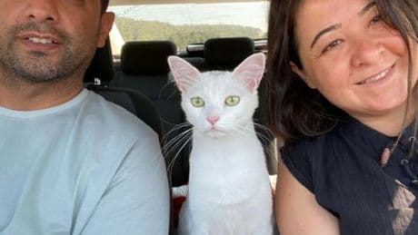 Nakilli böbreği kaybedince, eşi hayat verdi