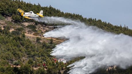 Greece wildfires: Towns evacuated as blaze threatens area around Athens