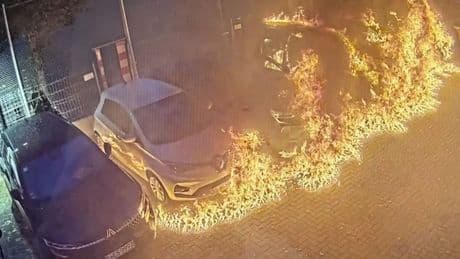 Feuer-Drama in Autohaus - Sieben Autos in Brand gesetzt