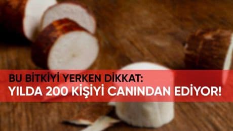 Bu bitkiyi görürseniz uzak durun! Yılda 200 kişiyi öldürüyor: Dikkatsiz tüketim sağlığınızdan edebilir