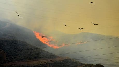 Más de 150 profesionales combaten el incendio de Huércal de Almería