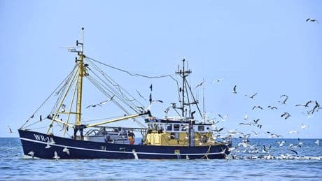 Demissionair kabinet: Tienduizenden hectares zeebodem voor Zeeuwse en Zuid-Hollandse kust dicht voor visserij