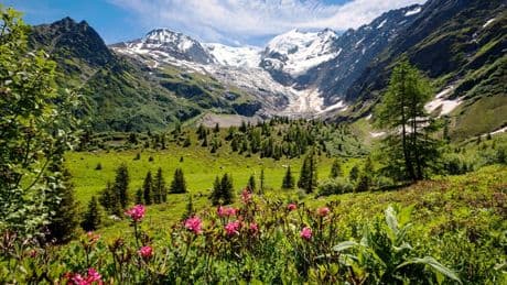 5 idées de vacances à la montagne, pour ceux qui partent en retard