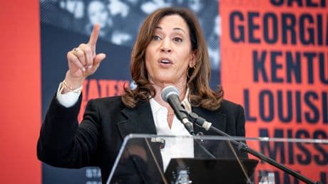 USA: Polizei von Los Angeles stellt Schutz von Kamala Harris ein