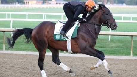 Belmont Stakes 2025: Odds, horses, prediction, complete bettor’s guide