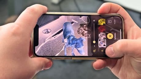 Zecken finden: Diese simple Handy-Funktion sollte jeder kennen - sie funktioniert überraschend gut