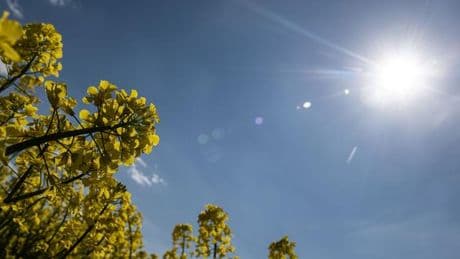 Wetter: Viel Sonne in Rheinland-Pfalz und im Saarland
