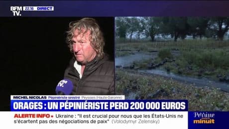 Orages: un pépiniériste perd 200.000 euros après les intempéries en Haute-Garonne