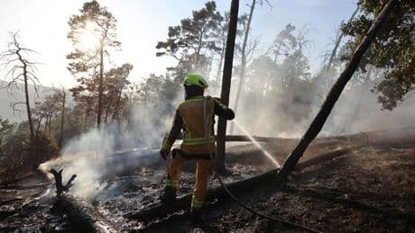 Waldbrände: Waldbrand bei Thale im Harz ausgebrochen