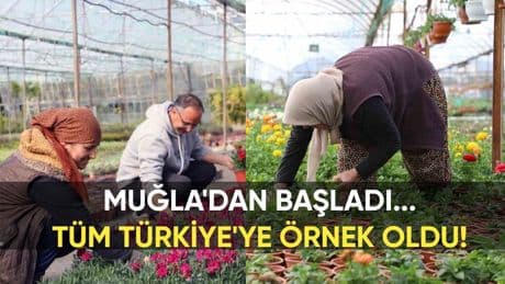 Muğla'da başlayan proje Türkiye'ye örnek oldu: 23 milyon TL tasarruf sağlandı