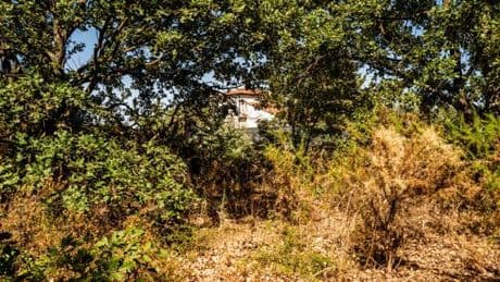 Dans le sud de la France, face à la multiplication des incendies, l’émergence d’une « culture du risque »
