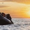 Dans la Manche, 94 migrants ont été secourus en moins de 24 heures