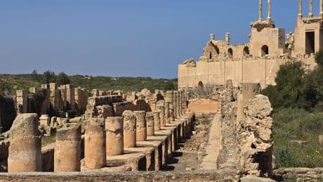Au Royaume-Uni, des archéologues découvrent les premières traces physiques de combats entre gladiateurs et félins