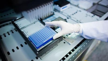 Knochenmarkspende: Stammzellenspenden in Deutschland erreichen 2024 Rekordhoch