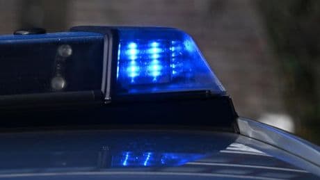 Fans von Hansa Rostock: Fünf mutmaßliche Graffitisprayer gestellt