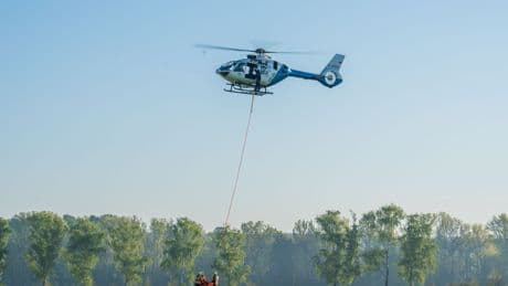 Feuerwehr: 15.000 Quadratmeter Wald in Brand - Löscheinsatz dauert an