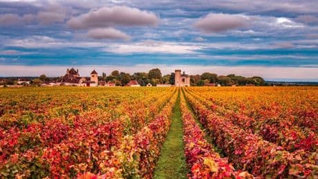14 Delicious Bourgogne (Burgundy) Wines From Five Different Regions