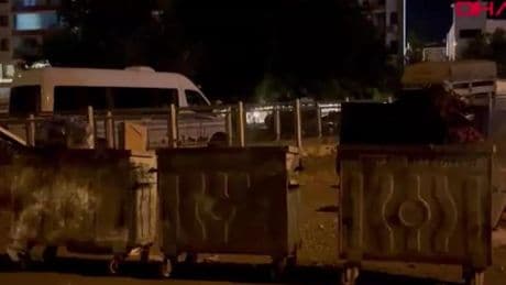 Dersim’de, sokak kedisini öldürüp çöpe atan şüpheli tutuklandı