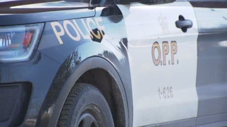 Fraudster falls short after trying to scam man looking for lost cat: Ontario police