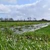 Du soleil, de nombreux nuages, un peu de pluie… Voici la météo de la semaine