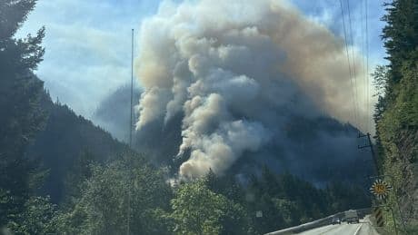 Out-of-control wildfire near Yale, B.C. grows to 120 hectares