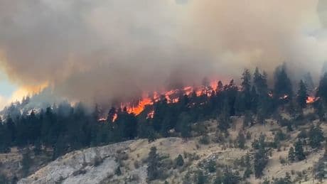 Hundreds forced from their homes as crews battle wildfire near Peachland