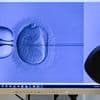 Ook vrouwen in Nederland kregen kind van Deense zaaddonor met kankerverwekkende genmutatie