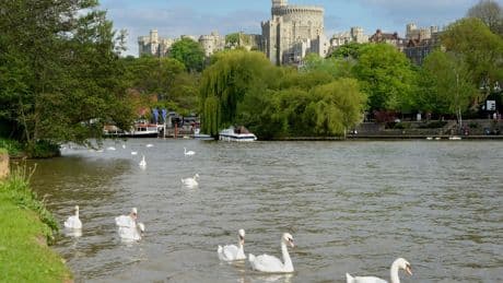 My first-ever river holiday on the outskirts of London – with palaces, locks and barbeques on the top deck