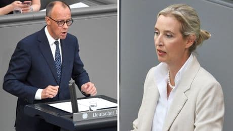 Nicht mal Fox-News-Weidel wird Merz wirklich gefährlich