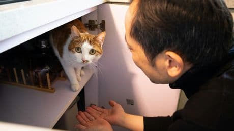 Llevamos toda la vida intentando entender a los animales: Baidu cree tener la clave y lo ha registrado en una nueva patente