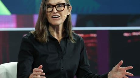 Cathie Wood says Tesla is the stock she'd pick if she could only invest in one company