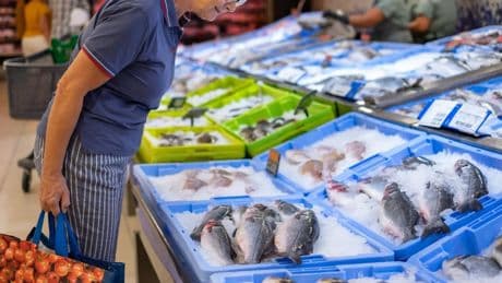 Cómo conseguir el Bono Peixe de la Xunta de Galicia para comprar pescado fresco con descuentos